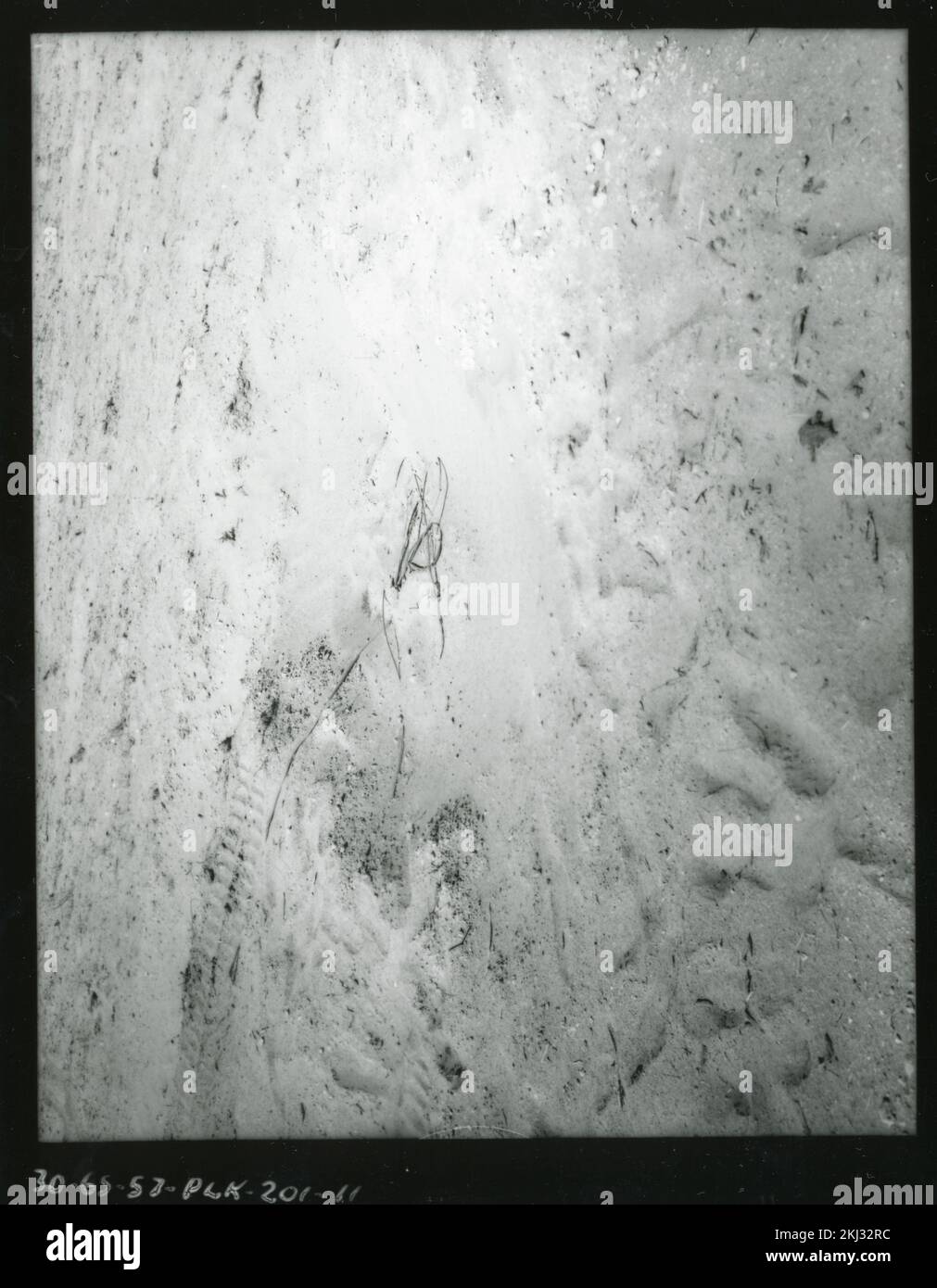 Project 30-65 - Operation Plumbob (Nevada Test Site) Test Activities ...