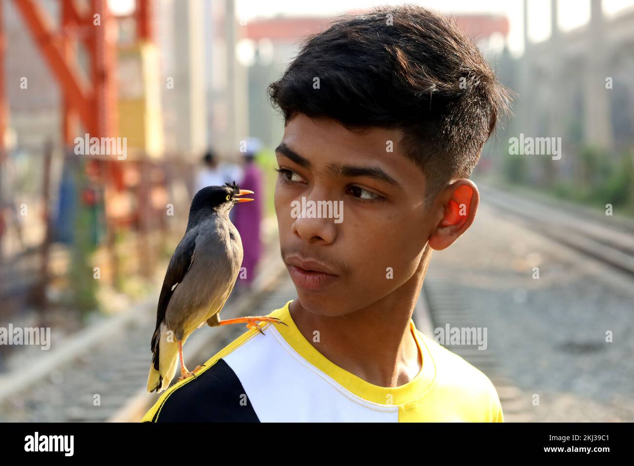 Dhaka, Dhaka, Bangladesh. 24th Nov, 2022. A pet bird is seen on the