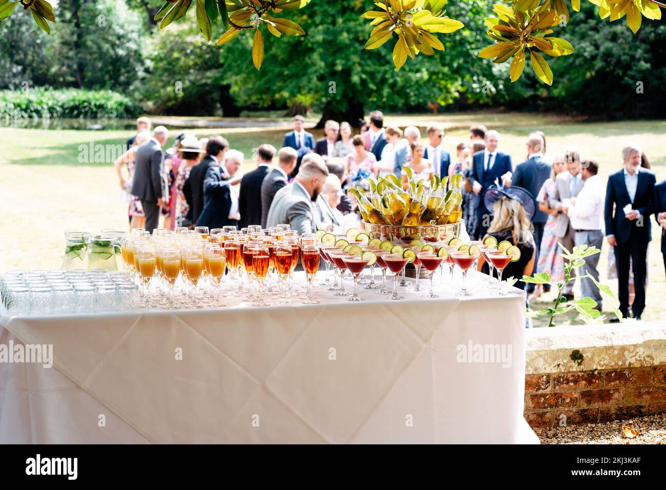 Cocktails ready to serve to the guests at the garden party Stock Photo