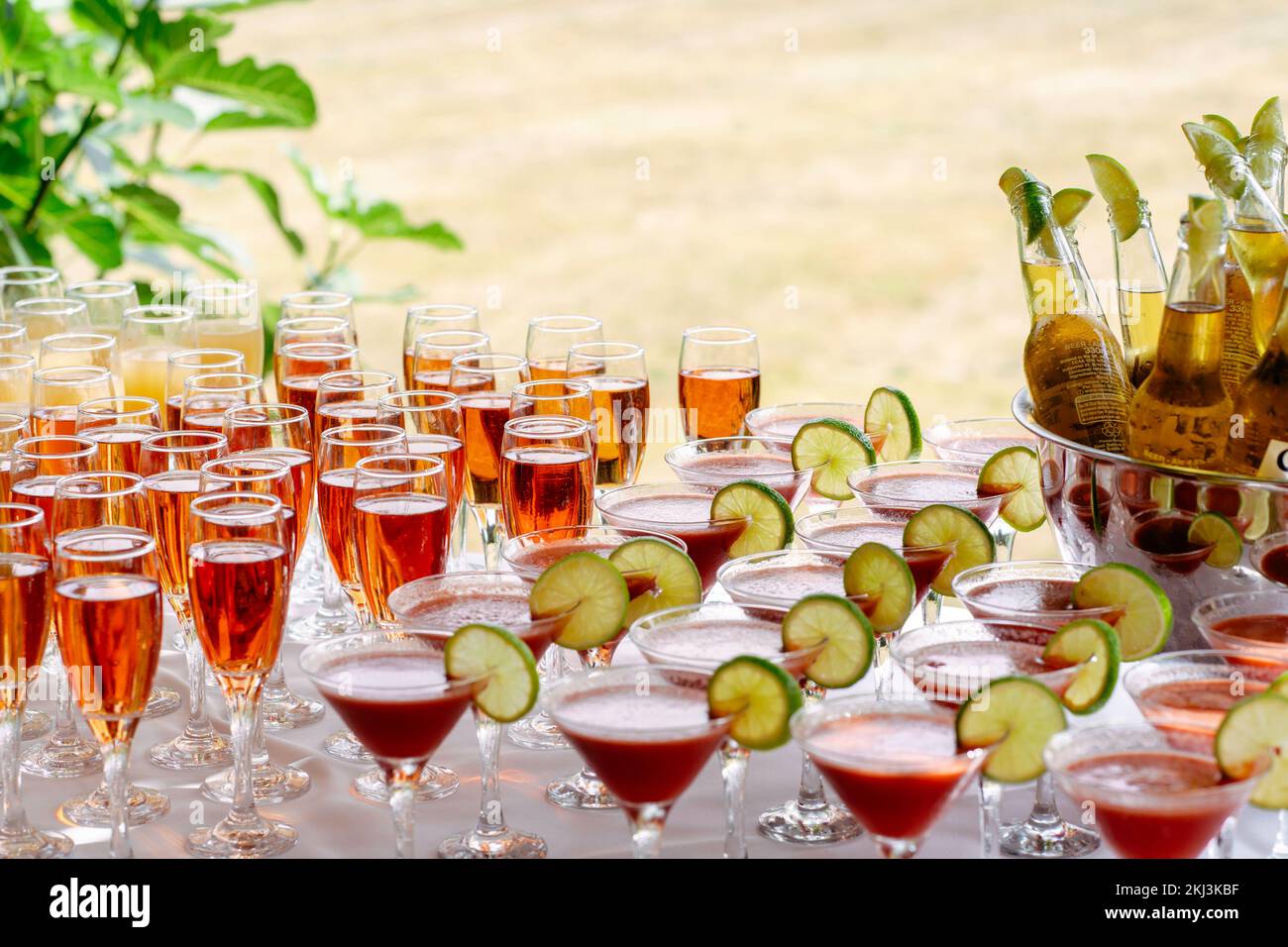 Cocktails ready to serve to the guests at the garden party Stock Photo