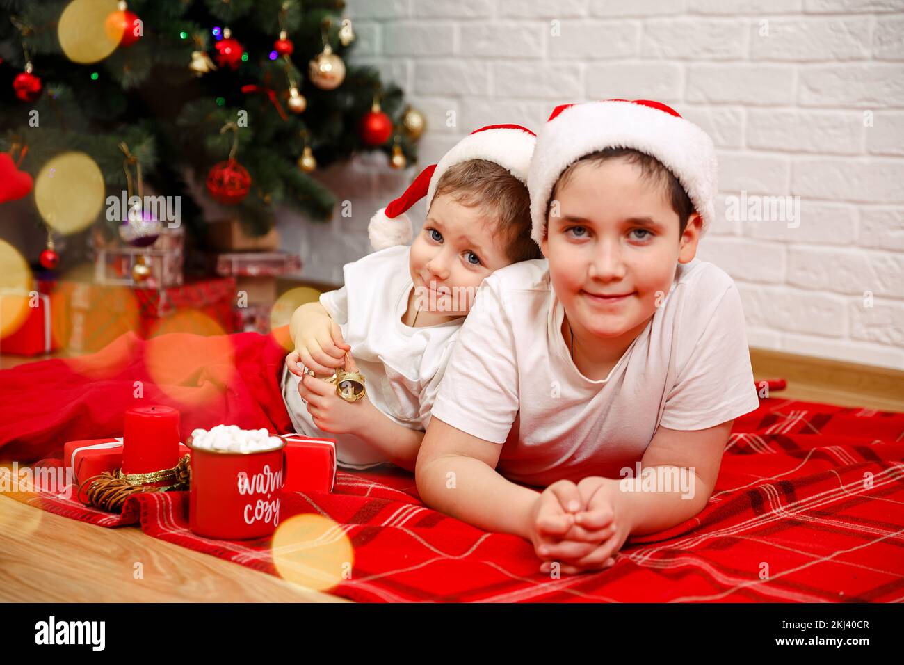 Brothers opening christmas presents. Little brothers celebrates Xmas Stock Photo