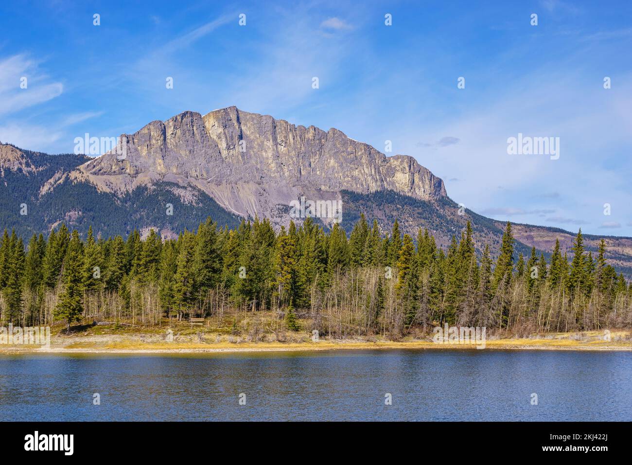 The vertical east face of Mount Yamnuska (Mount John Laurie) in the Bow Valley Stock Photo