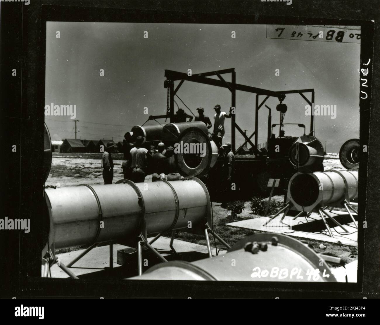 Project 20 Operation Greenhouse (Enewetak) Test Activities. Animal