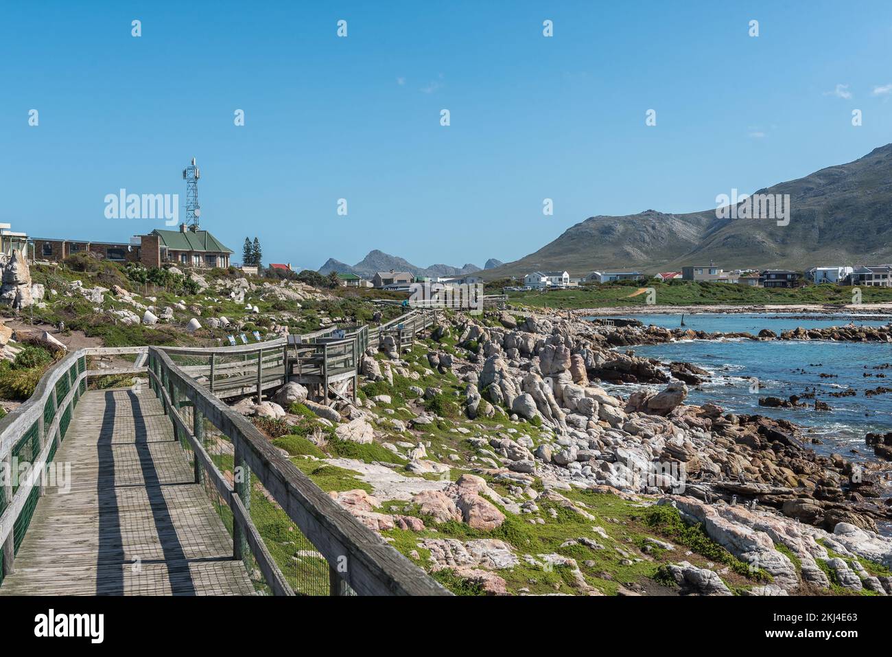 Bettys Bay, South Africa - Sep 20, 2022: The boardwalk at Stony Point Nature Reserve in Bettys Bay. Cape Penguins are visible Stock Photo