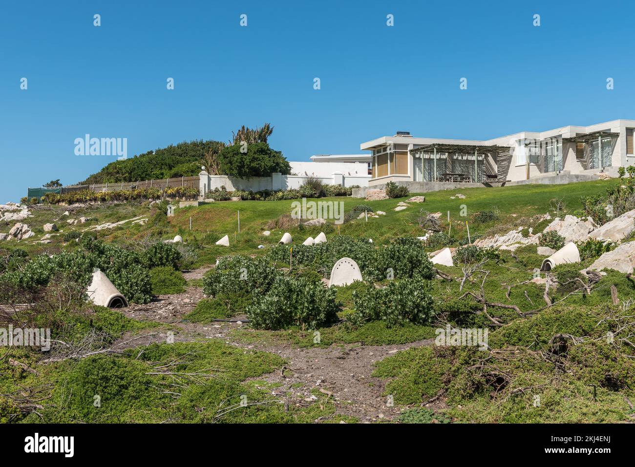 Bettys Bay, South Africa - Sep 20, 2022: Artificial African Penguin nests in Stony Point Nature Reserve in Bettys Bay. Houses are visible on the borde Stock Photo