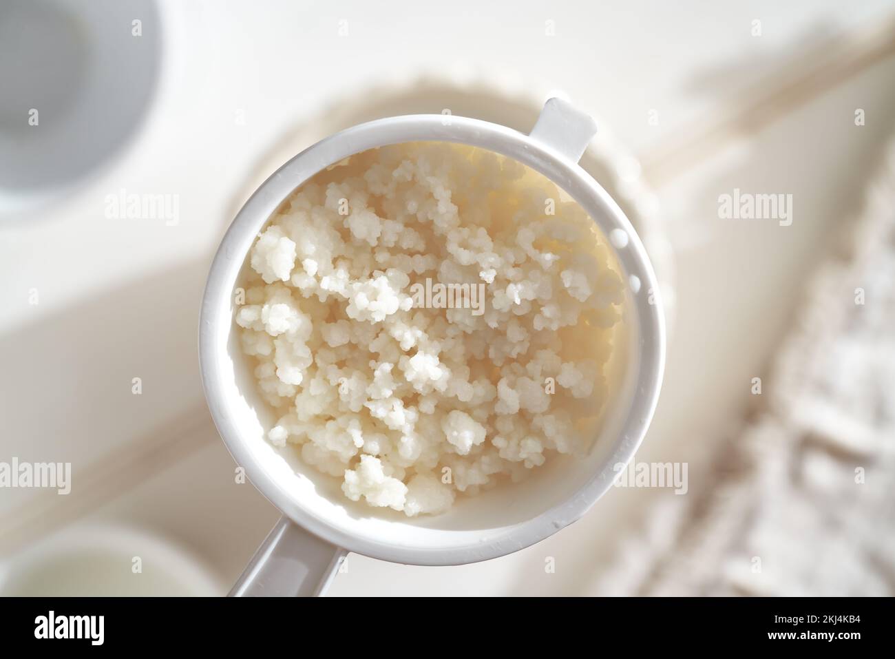 Fresh kefir grains used for making a probiotic milk drink, top view Stock Photo