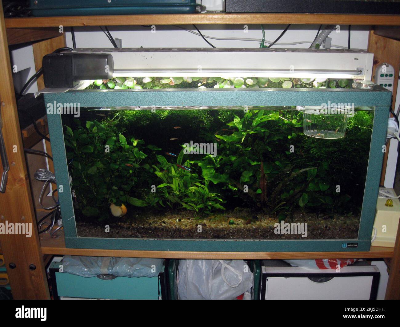 Vintage freshwater aquarium with plastic frame Stock Photo Alamy