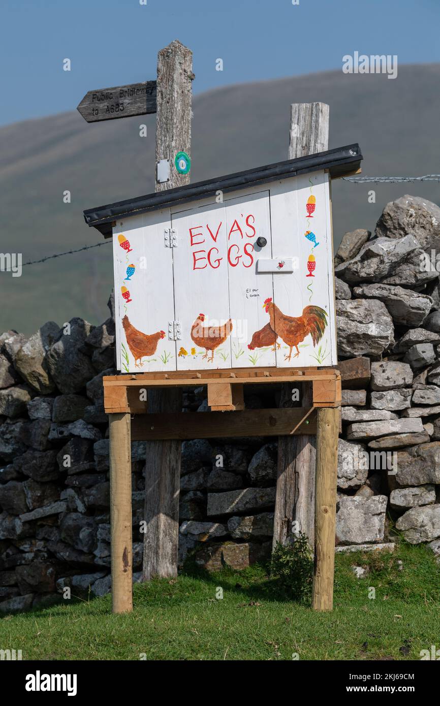 Farmer selling Free Range Eggs from an honesty box at the end of a farm lane. Cumbria, UK. Stock Photo