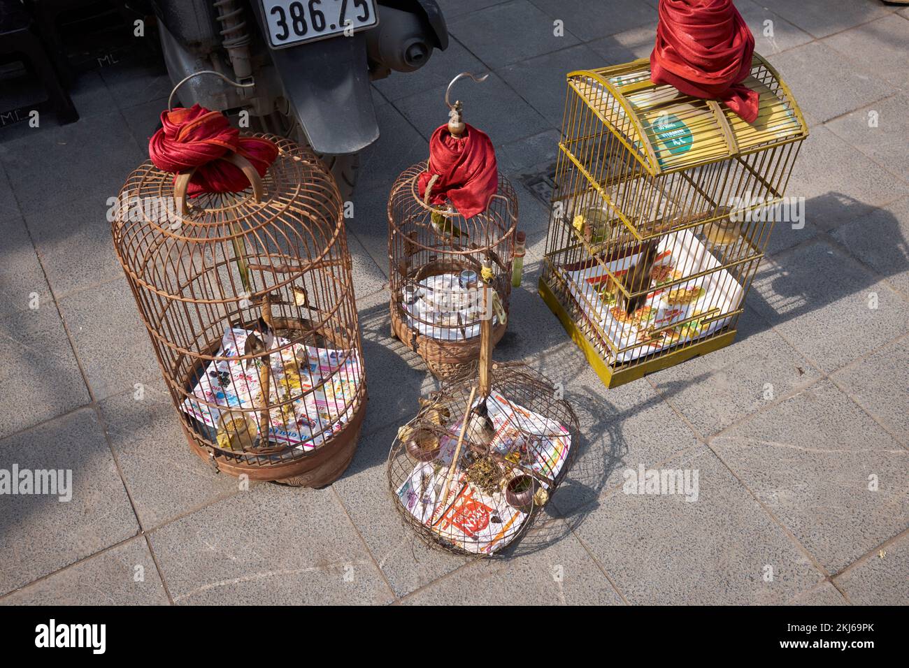 Bird Cages Hanoi Vietnam Stock Photo