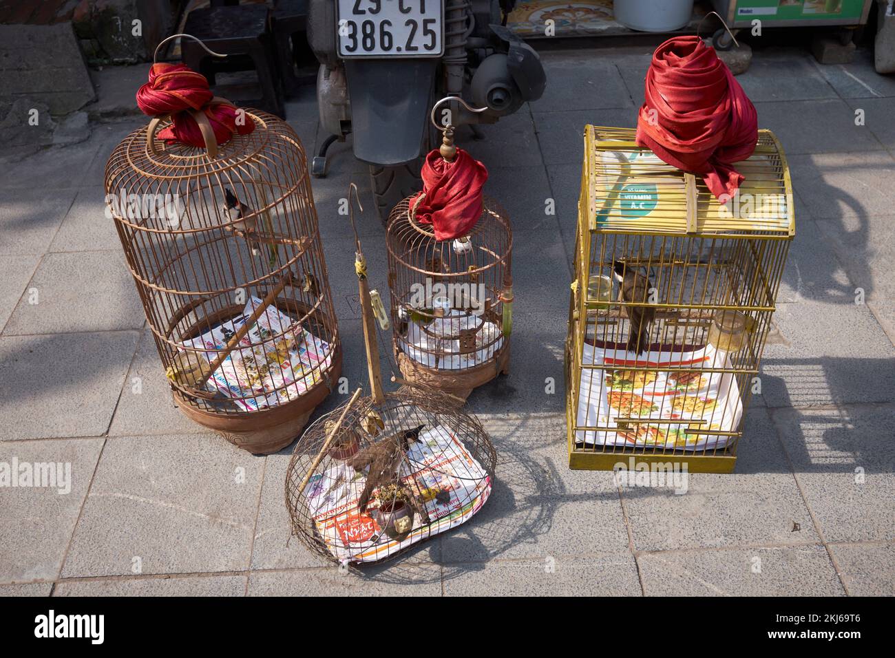 Bird Cages Hanoi Vietnam Stock Photo Alamy