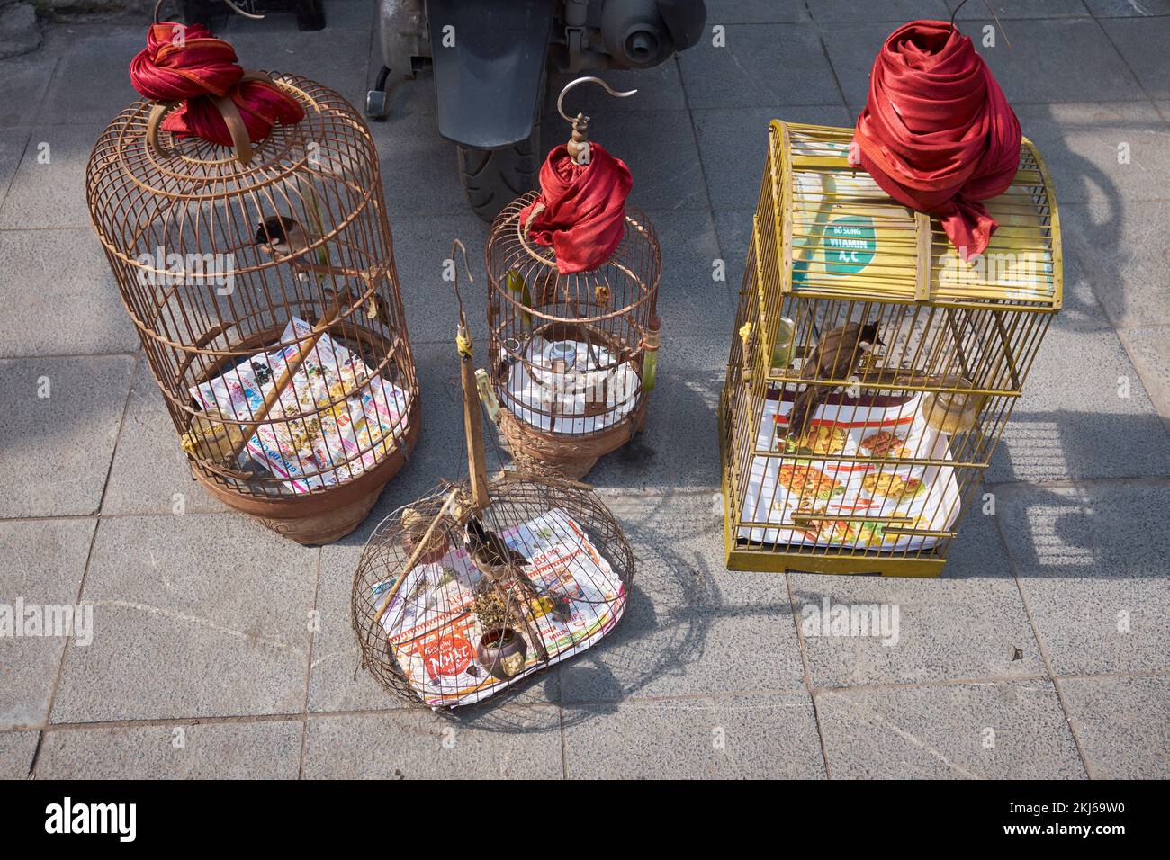 Bird Cages Hanoi Vietnam Stock Photo Alamy