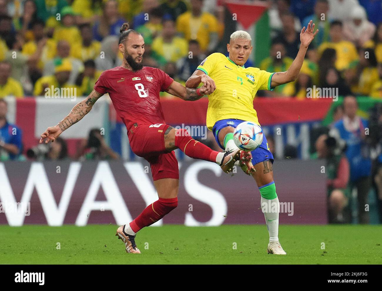 Serbia's Nemanja Gudelj (left) and Brazil's Richarlison battle for the ball during the FIFA World Cup Group G match at the Lusail Stadium in Lusail, Qatar. Picture date: Thursday November 24, 2022. Stock Photo