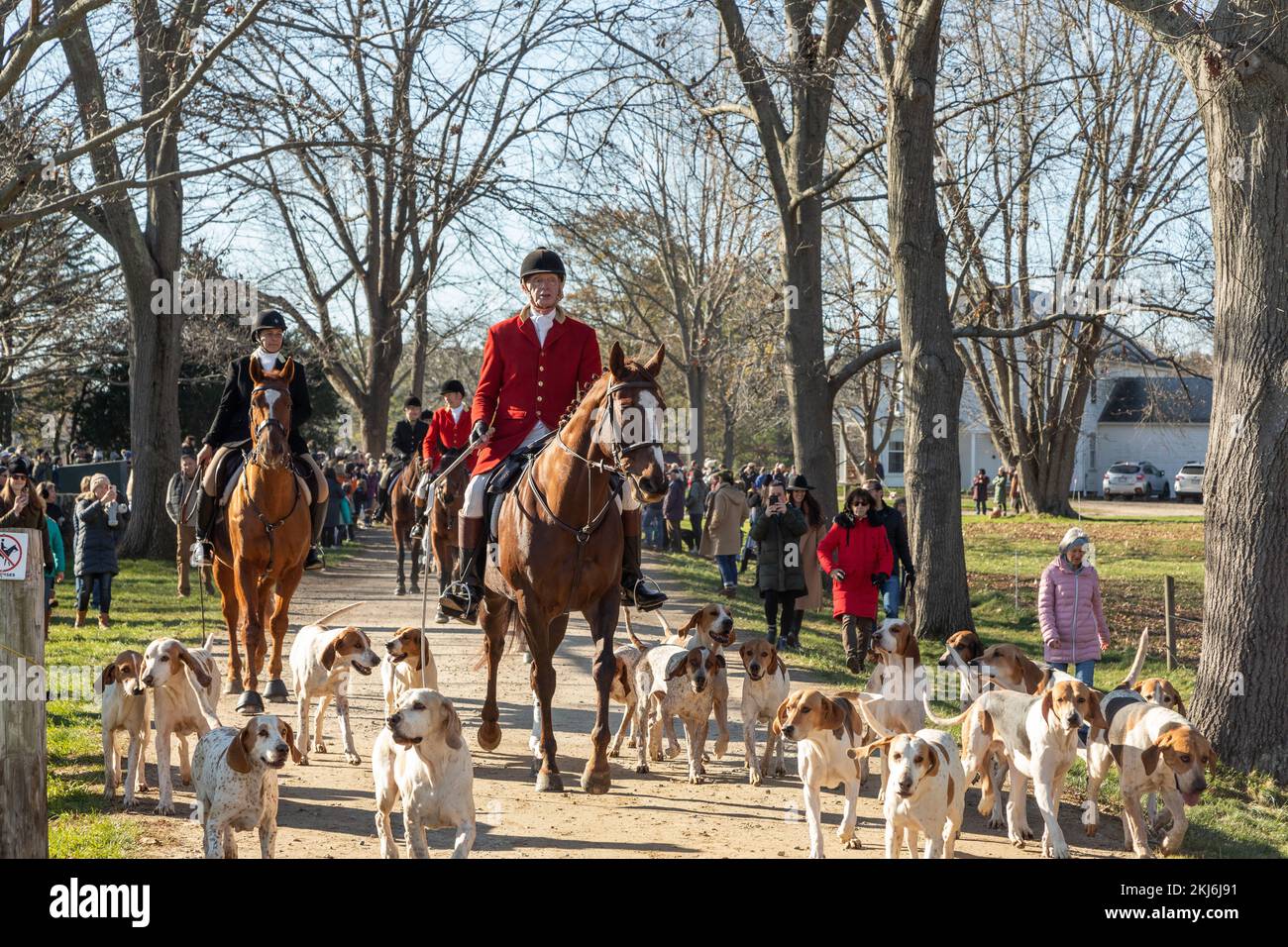 Nov. 24, 2022. Ipswich, MA. Thanksgiving Hunt at Appleton Farms. © 2022