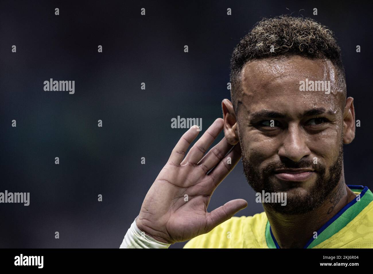 Al Wakrah, Brazil. 24th Nov, 2022. AC - Al-Wakrah - 11/24/2022 - 2022 WORLD CUP, BRAZIL X SERBIA - Neymar player from Serbia during a match against Brazil at the Lusail stadium for the 2022 World Cup championship. Photo: Pedro Martins/AGIF/Sipa USA Credit: Sipa USA/Alamy Live News Stock Photo