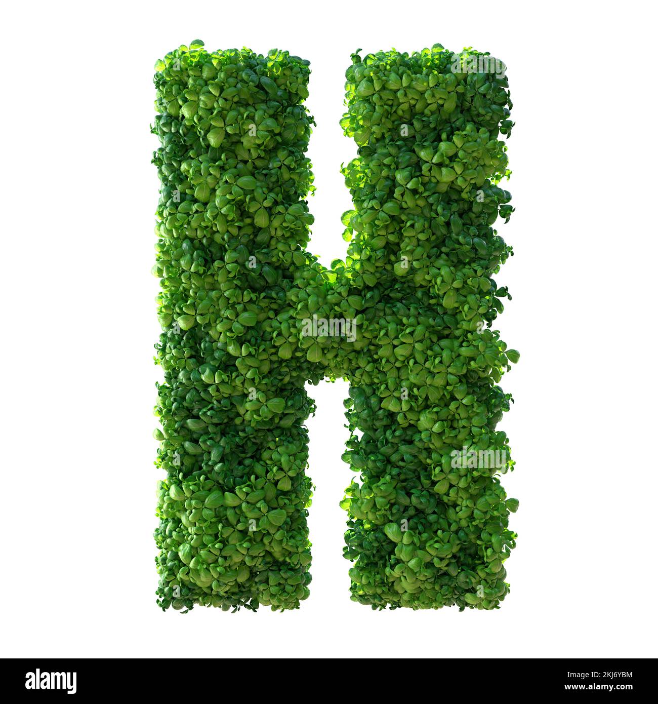 3d alphabet letter H. Green plant, leaves, grass, moss, basil, mint ...