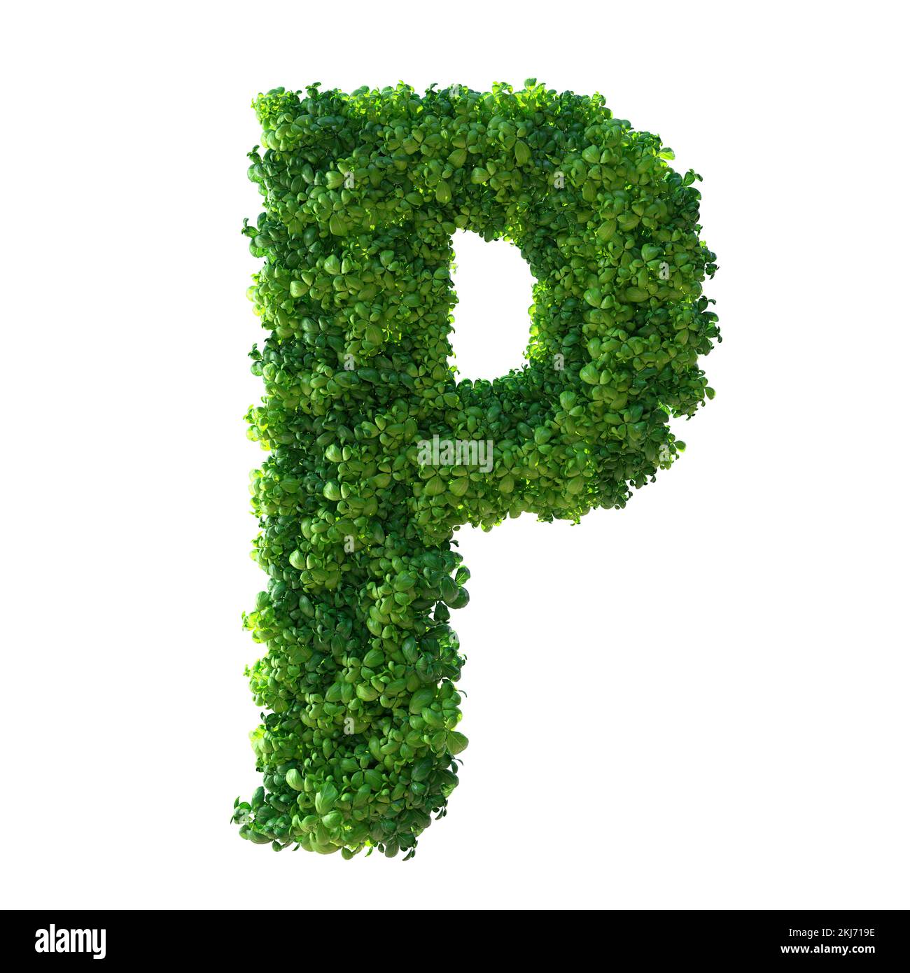 3d alphabet letter P. Green plant, leaves, grass, moss, basil, mint