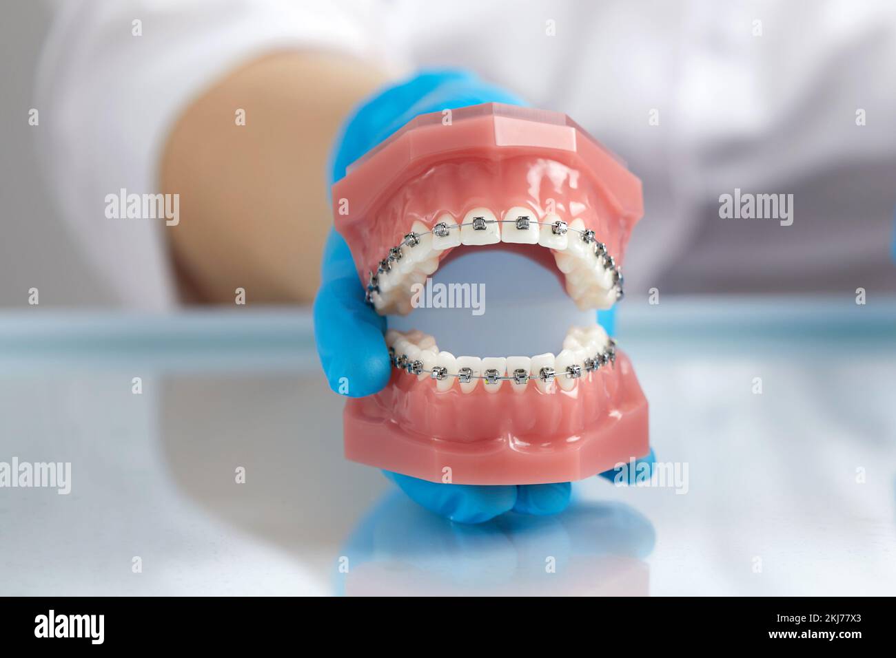 Doctor orthodontist showing model of human jaw with wire braces
