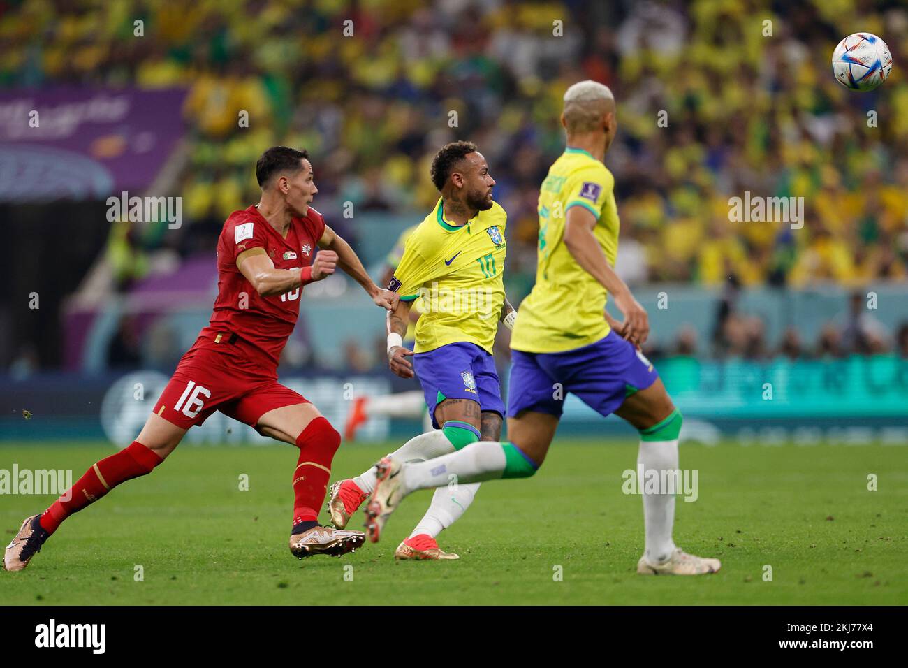 Lusail, Qatar. 24th Nov, 2022. Neymar (C) of Brazil competes with Sasa Lukic (L) of Serbia during the Group G match between Brazil and Serbia at the 2022 FIFA World Cup at Lusail Stadium in Lusail, Qatar, Nov. 24, 2022. Credit: Wang Lili/Xinhua/Alamy Live News Stock Photo