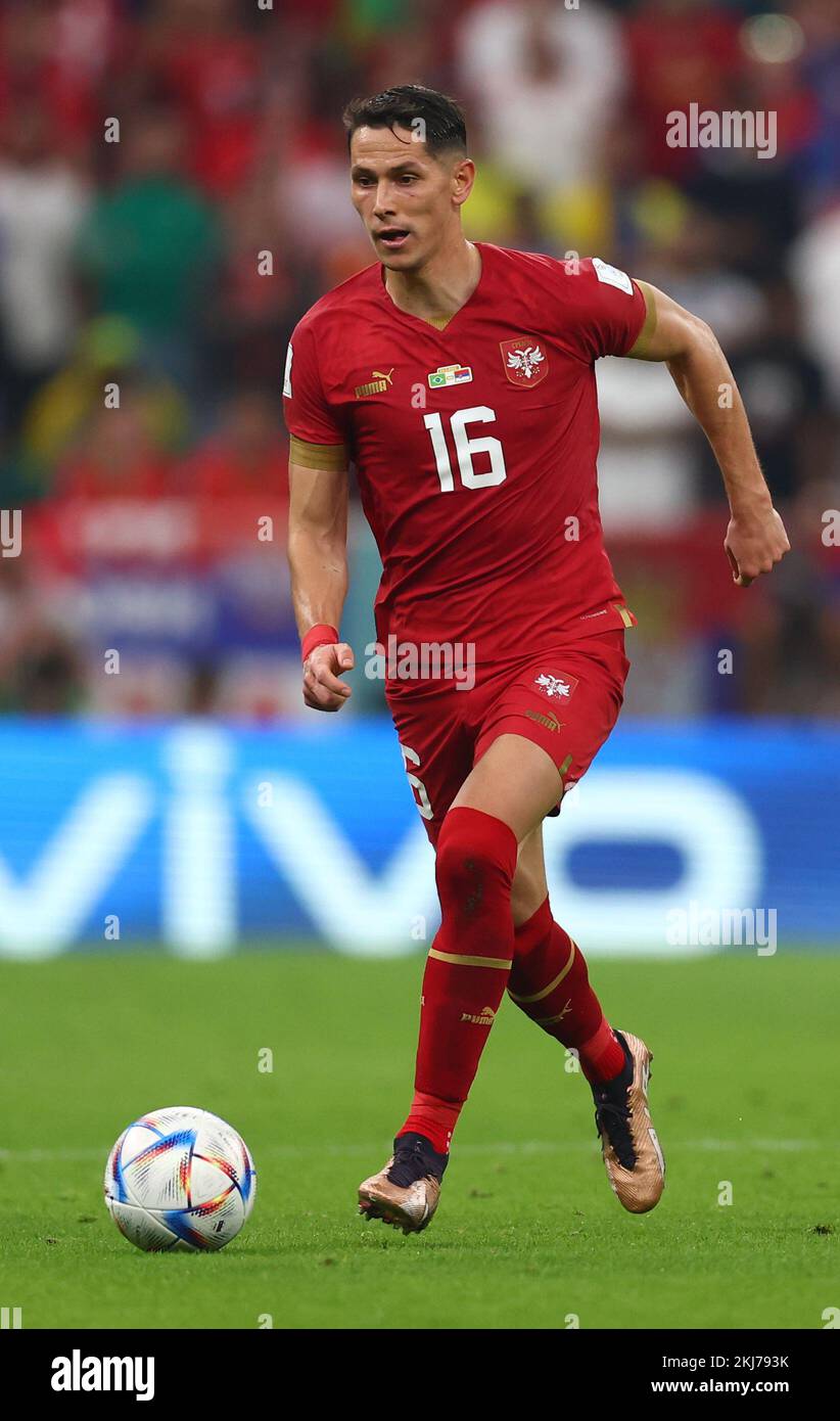 Doha, Qatar, 24th November 2022.  Sasa Lukic of Serbia during the FIFA World Cup 2022 match at Lusail Stadium, Doha. Picture credit should read: David Klein / Sportimage Credit: Sportimage/Alamy Live News Stock Photo