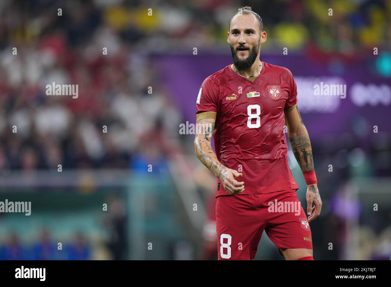 Memanja Gudelj of Serbia during the FIFA World Cup Qatar 2022 match, Group G, between Brazil and Serbia played at Lusail Stadium on Nov 24, 2022 in Lusail, Qatar. (Photo by Bagu Blanco / PRESSIN) Credit: PRESSINPHOTO SPORTS AGENCY/Alamy Live News Stock Photo