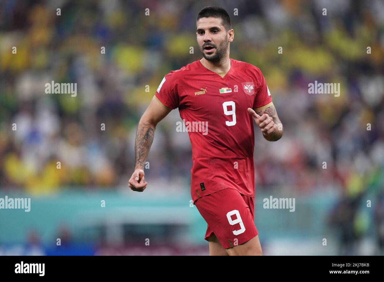 Aleksandar Mitrovic of Serbia during the FIFA World Cup Qatar 2022 match, Group G, between Brazil and Serbia played at Lusail Stadium on Nov 24, 2022 in Lusail, Qatar. (Photo by Bagu Blanco / PRESSIN) Credit: PRESSINPHOTO SPORTS AGENCY/Alamy Live News Stock Photo