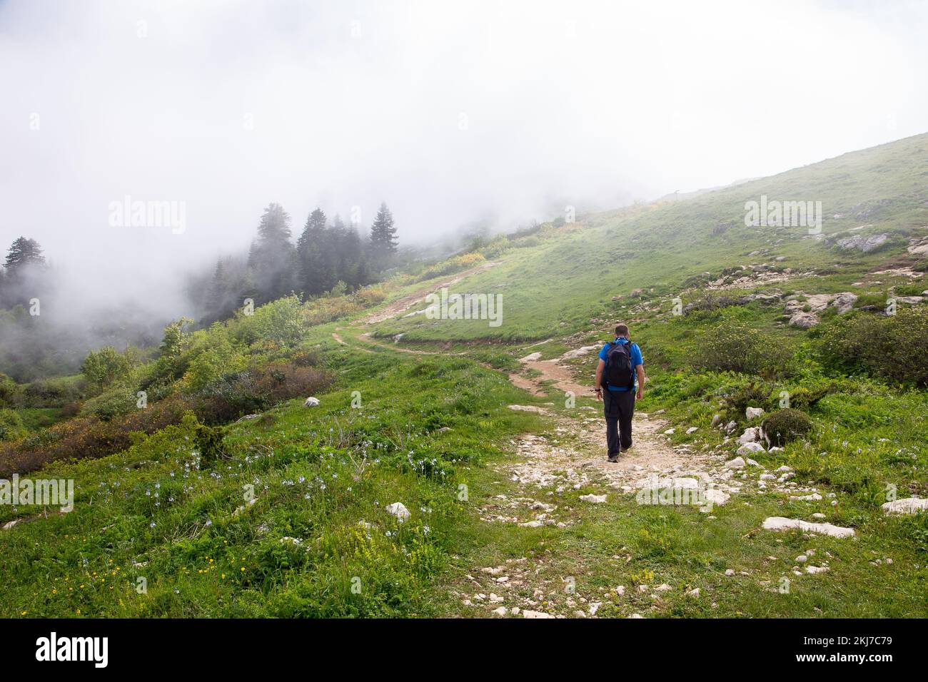 Male tourist hiking through a foggy forest on a trail to Khvamli Mountain peak in Racha region in Georgia. Stock Photo
