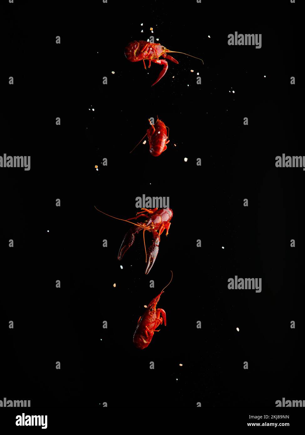 Crayfish in frozen flight on a black background with grains of salt. Original culinary composition. Cooking, recipes for cooking seafood. There are no Stock Photo