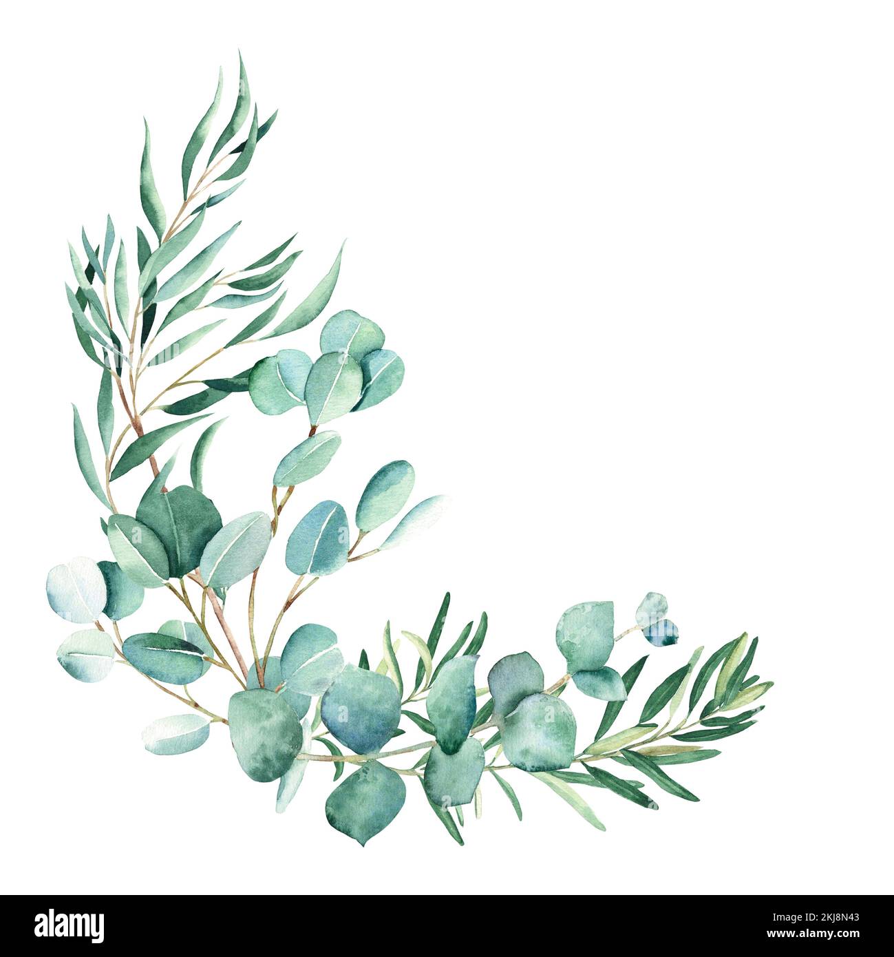 Watercolor bouquet. Eucalyptus, pistachio and olive branches. True blue