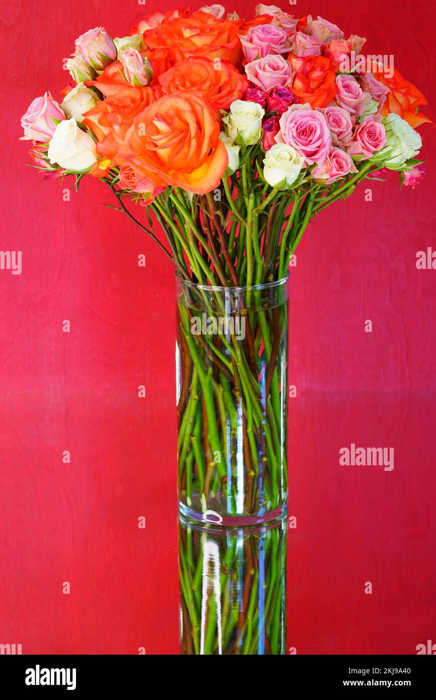 Colorful rose bouquet with multicolor flowers Stock Photo - Alamy