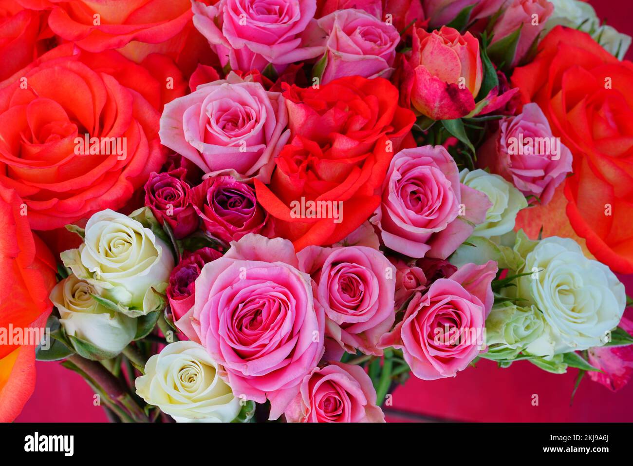 Colorful rose bouquet with multicolor flowers Stock Photo - Alamy