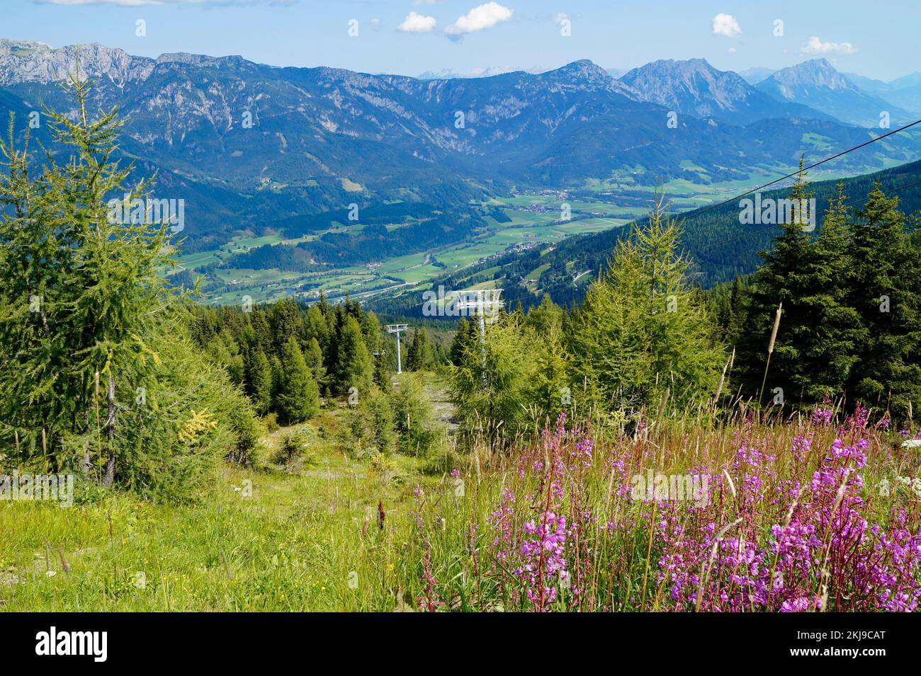 hiking trail overlooking beautiful alpine landscape with lush alpine 