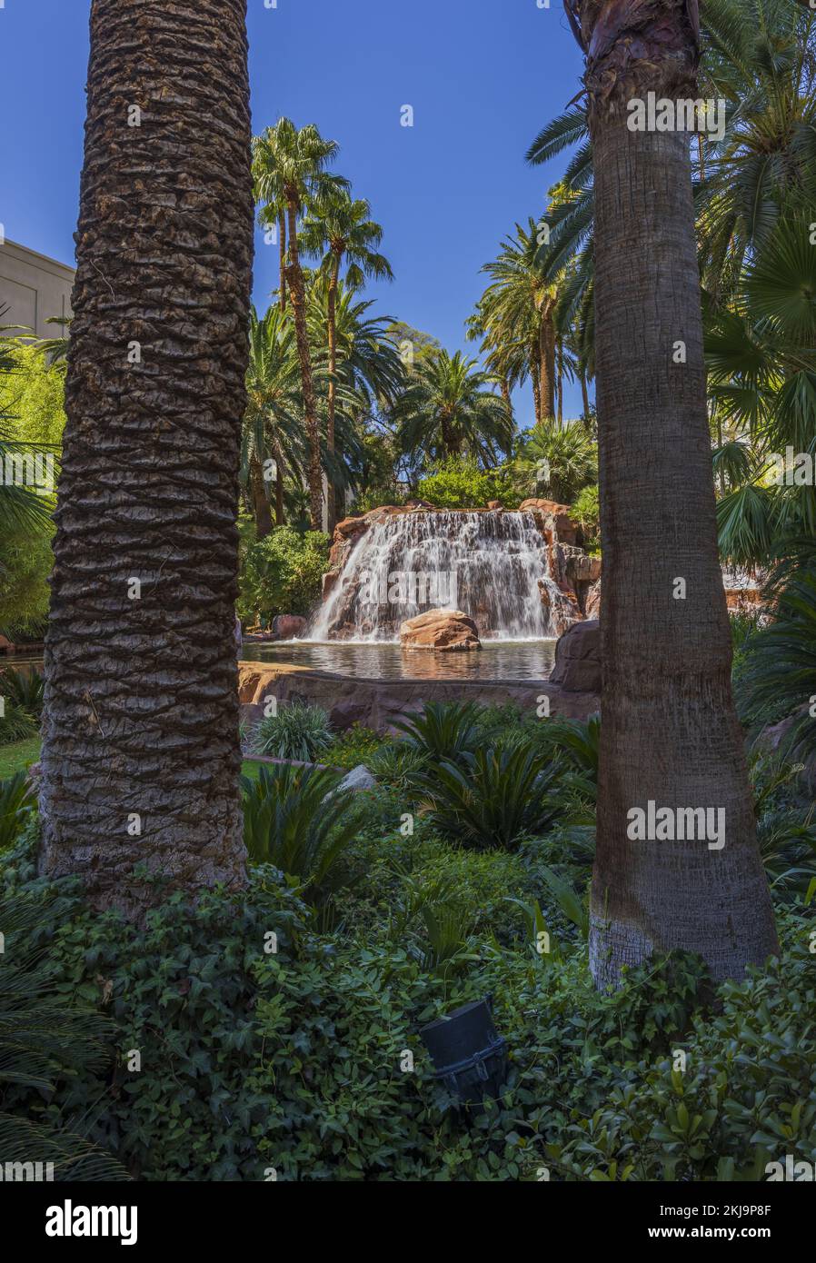 Palm leaves waterfall hi-res stock photography and images - Alamy
