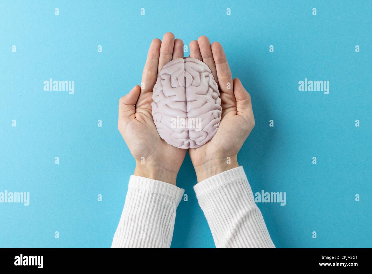 Composition of hands holding brain on blue background with copy space Stock Photo