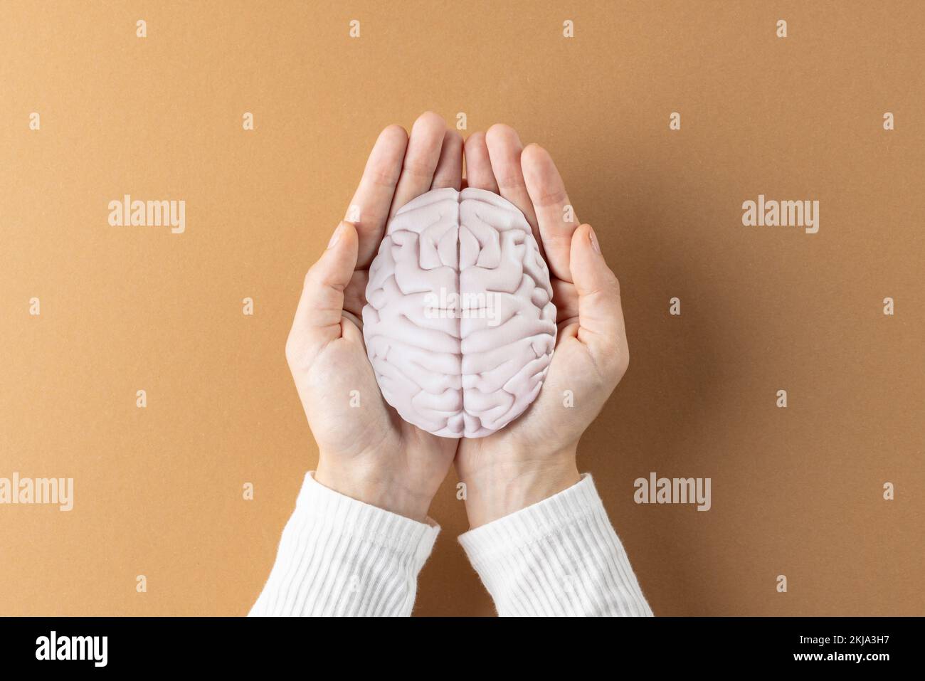 Composition of hands holding brain on brown background with copy space Stock Photo