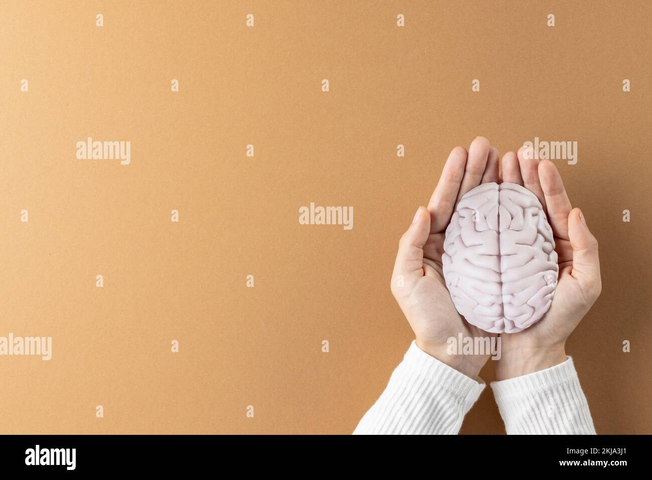 Composition of hands holding brain on brown background with copy space Stock Photo