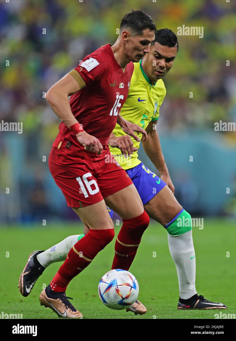 Doha, Qatar. 24th Nov, 2022. Casemiro of Brazil disputes the bid with Sasa Lukic of Serbia, during the match between Brazil and Serbia, for the 1st round of Group G of the FIFA World Cup Qatar 2022, at Lusail Stadium, this Thursday, 24. 30761 (Heuler Andrey/SPP) Credit: SPP Sport Press Photo. /Alamy Live News Stock Photo