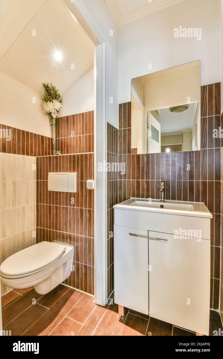 Cozy toilet and ceramic sink installed on brown tiled walls in small