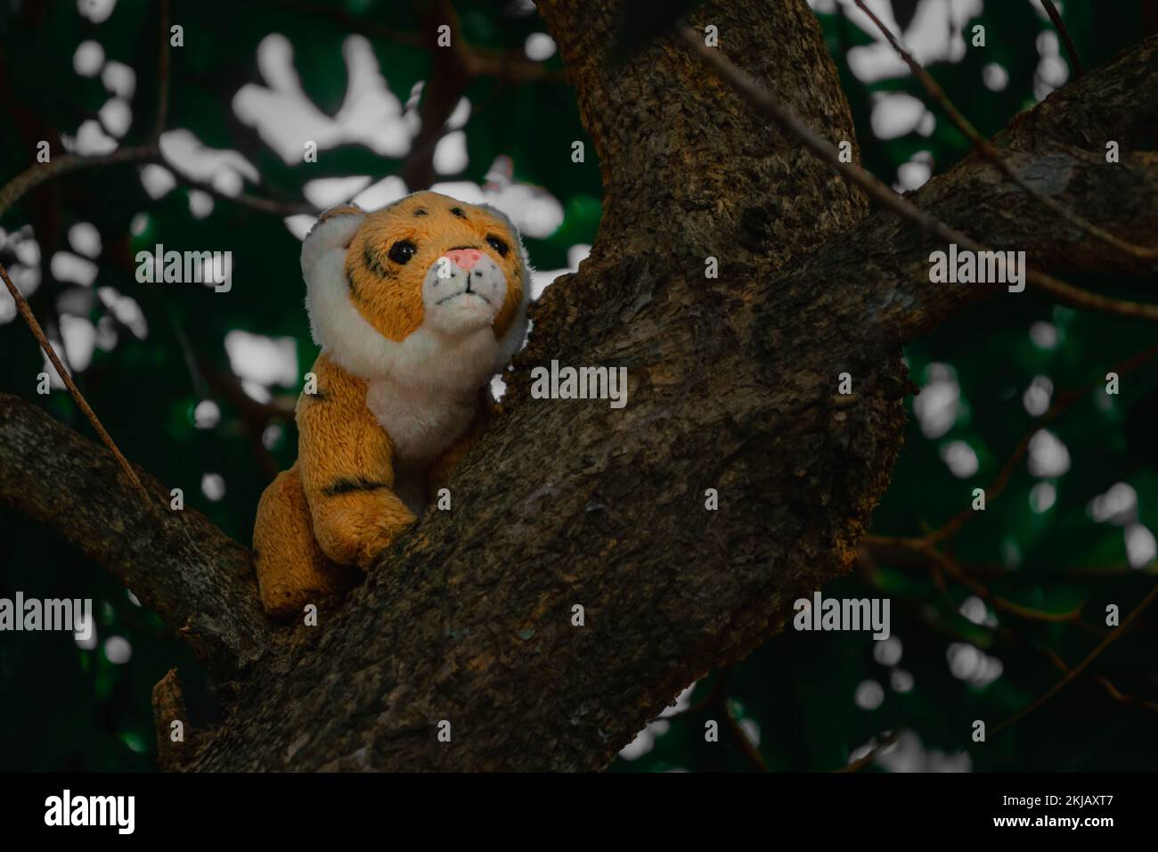 A closeup shot of a tiger toy on a tree Stock Photo