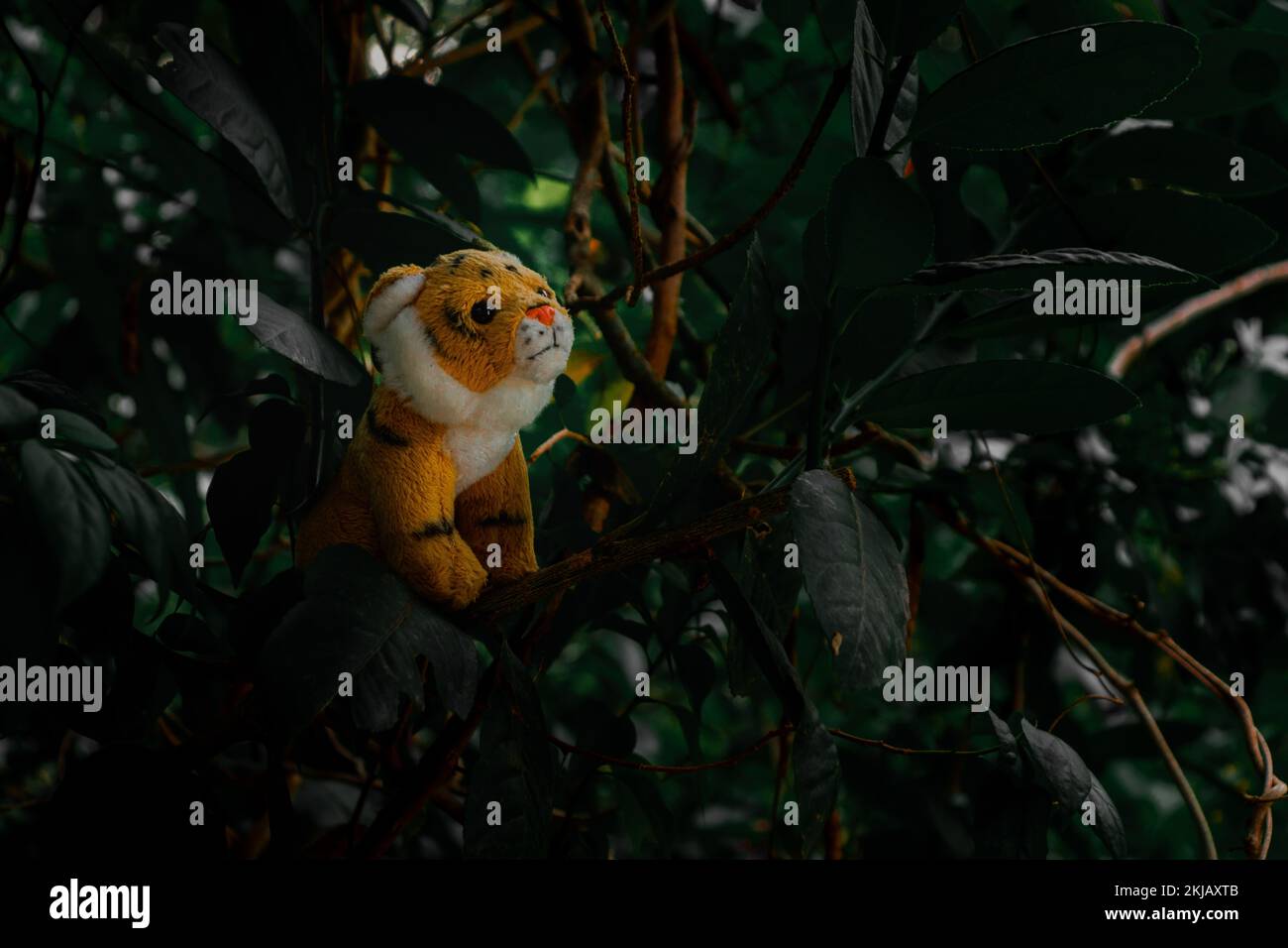 A closeup shot of a tiger toy on a tree Stock Photo