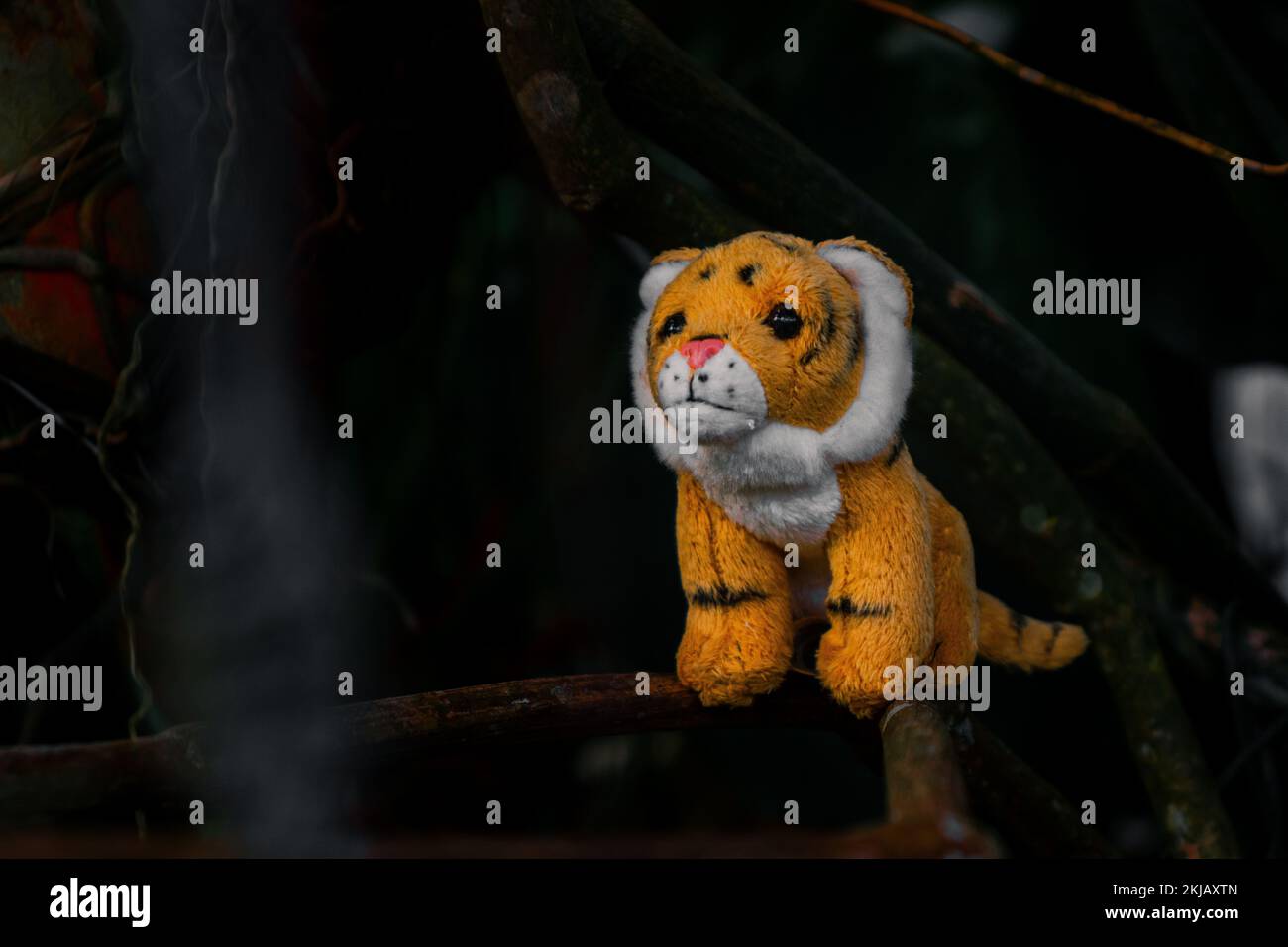 A closeup shot of a tiger toy on a tree Stock Photo