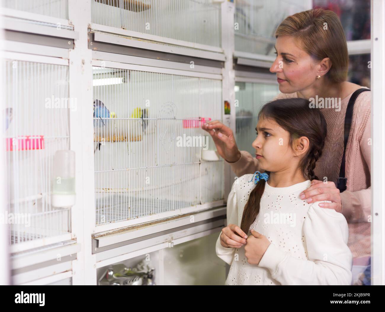 Girl with her mother buying bird in pet store Stock Photo Alamy