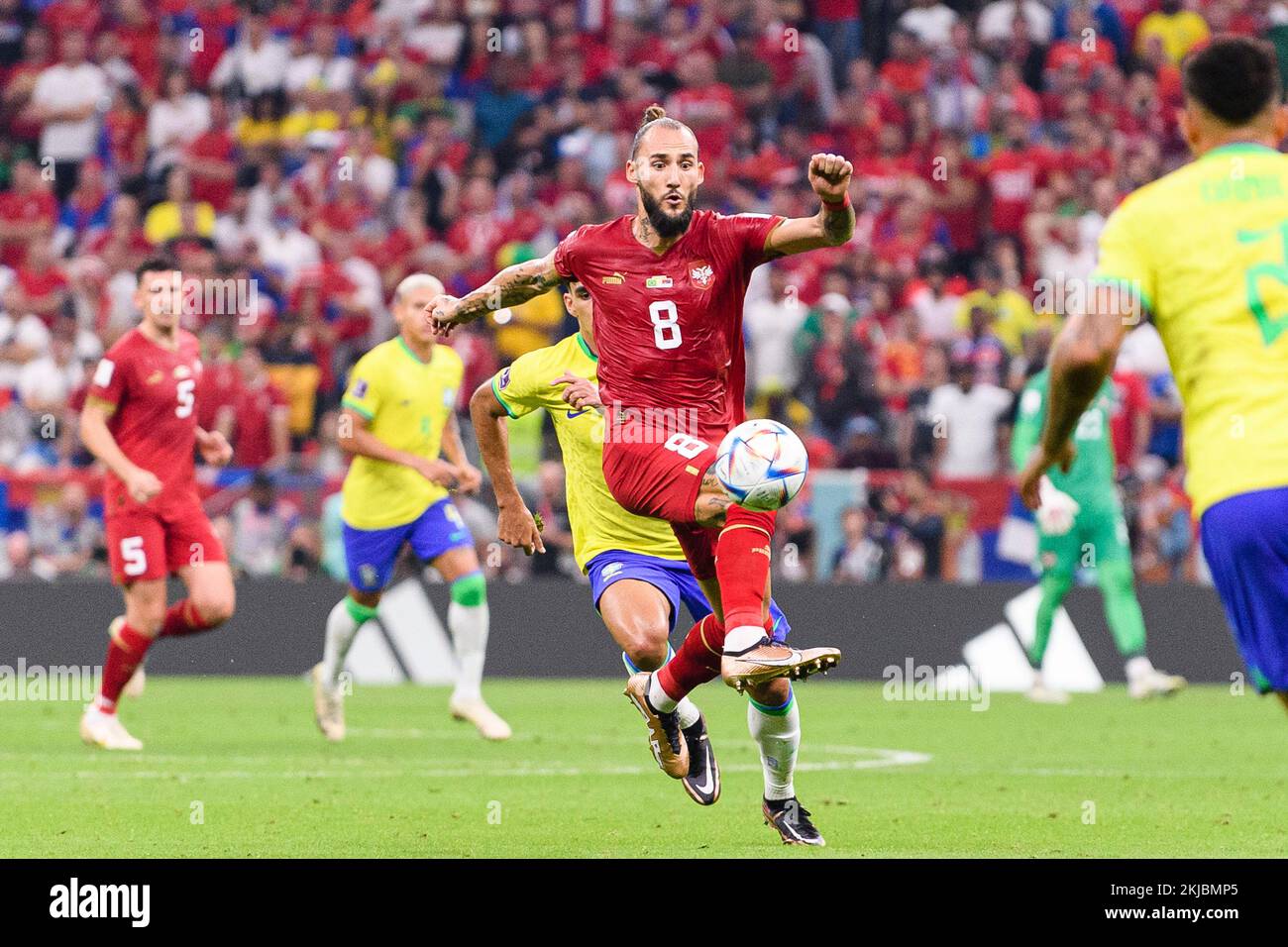 Lusail, Qatar. 24th Nov, 2022. Lusail, Qatar, Nov 25th 2022: Nemanja Gudelj of Serbia during a match between Brazil vs Serbia, valid for the group stage of the World Cup, held at the Lusail National Stadium in Lusail, Qatar. (Marcio Machado/SPP) Credit: SPP Sport Press Photo. /Alamy Live News Stock Photo