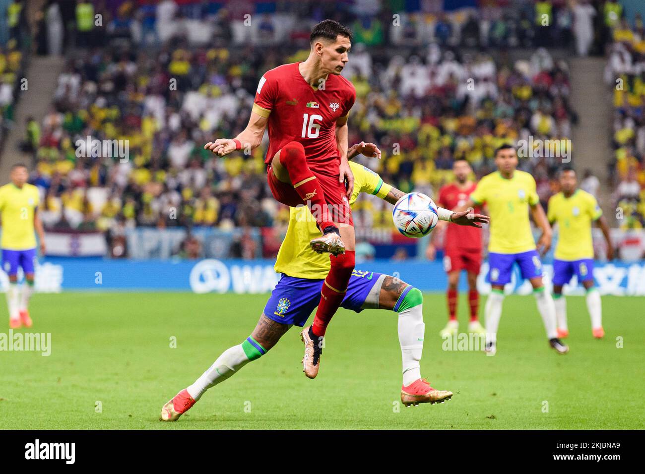 Lusail, Qatar. 24th Nov, 2022. Lusail, Qatar, Nov 25th 2022: Sasa Lukic of Serbia during a match between Brazil vs Serbia, valid for the group stage of the World Cup, held at the Lusail National Stadium in Lusail, Qatar. (Marcio Machado/SPP) Credit: SPP Sport Press Photo. /Alamy Live News Stock Photo