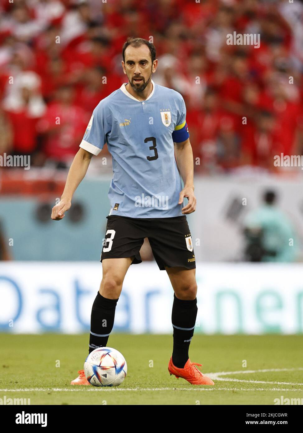 DOHA - Diego Godin of Uruguay during the FIFA World Cup Qatar 2022 group H match between Uruguay and South Korea at Education City Stadium on November 24, 2022 in Doha, Qatar. AP | Dutch Height | MAURICE OF STONE Credit: ANP/Alamy Live News Stock Photo