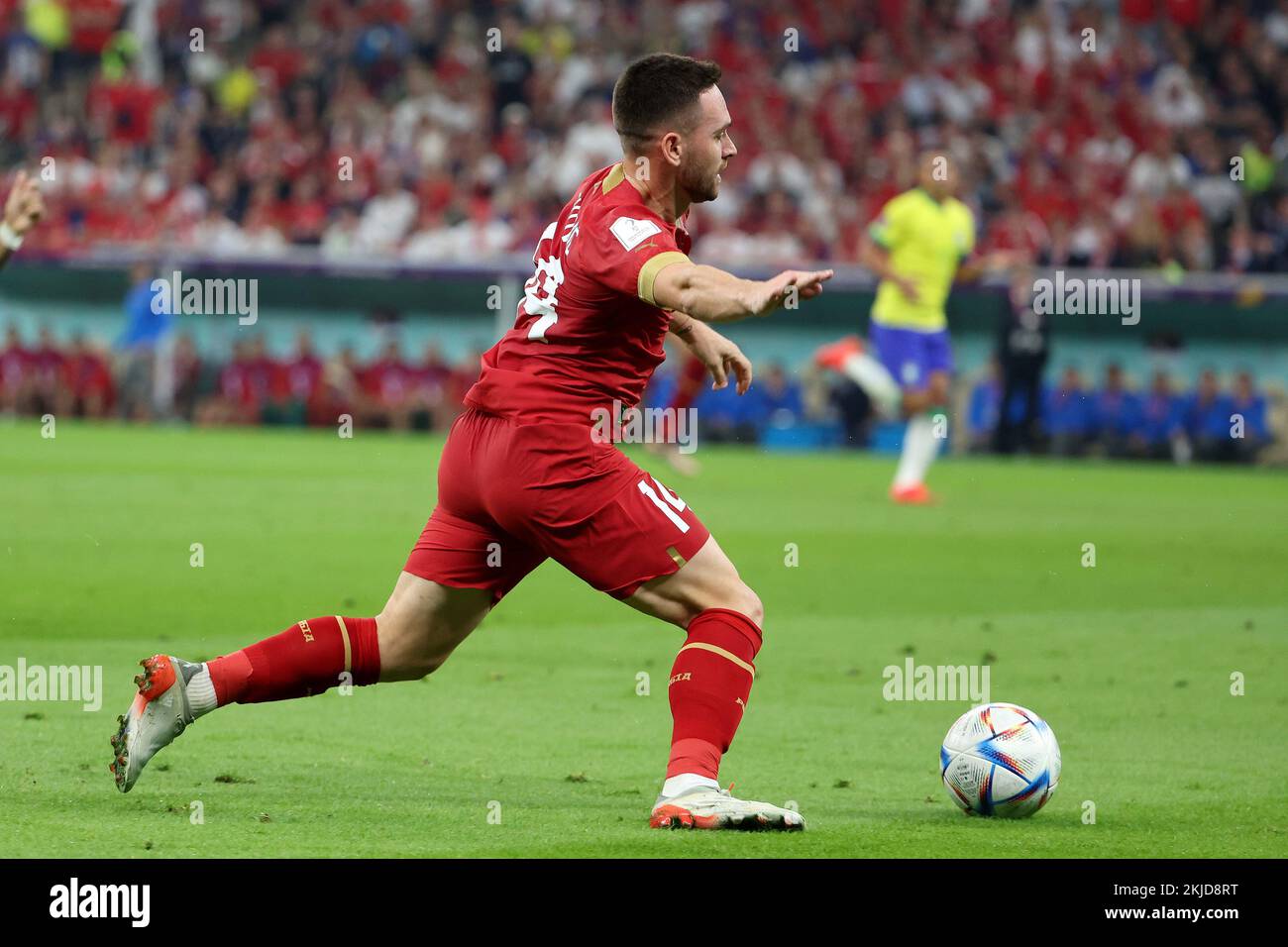 Andrija Živkovic of Serbia during the FIFA World Cup 2022, Group G football match between Brazil and Serbia on November 24, 2022 at Lusail Stadium in Al Daayen, Qatar - Photo Jean Catuffe / DPPI Credit: DPPI Media/Alamy Live News Stock Photo