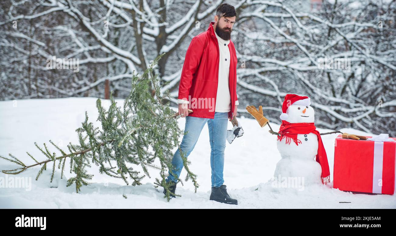 Santa man posing with axe and Christmas tree. Man is going to cut a