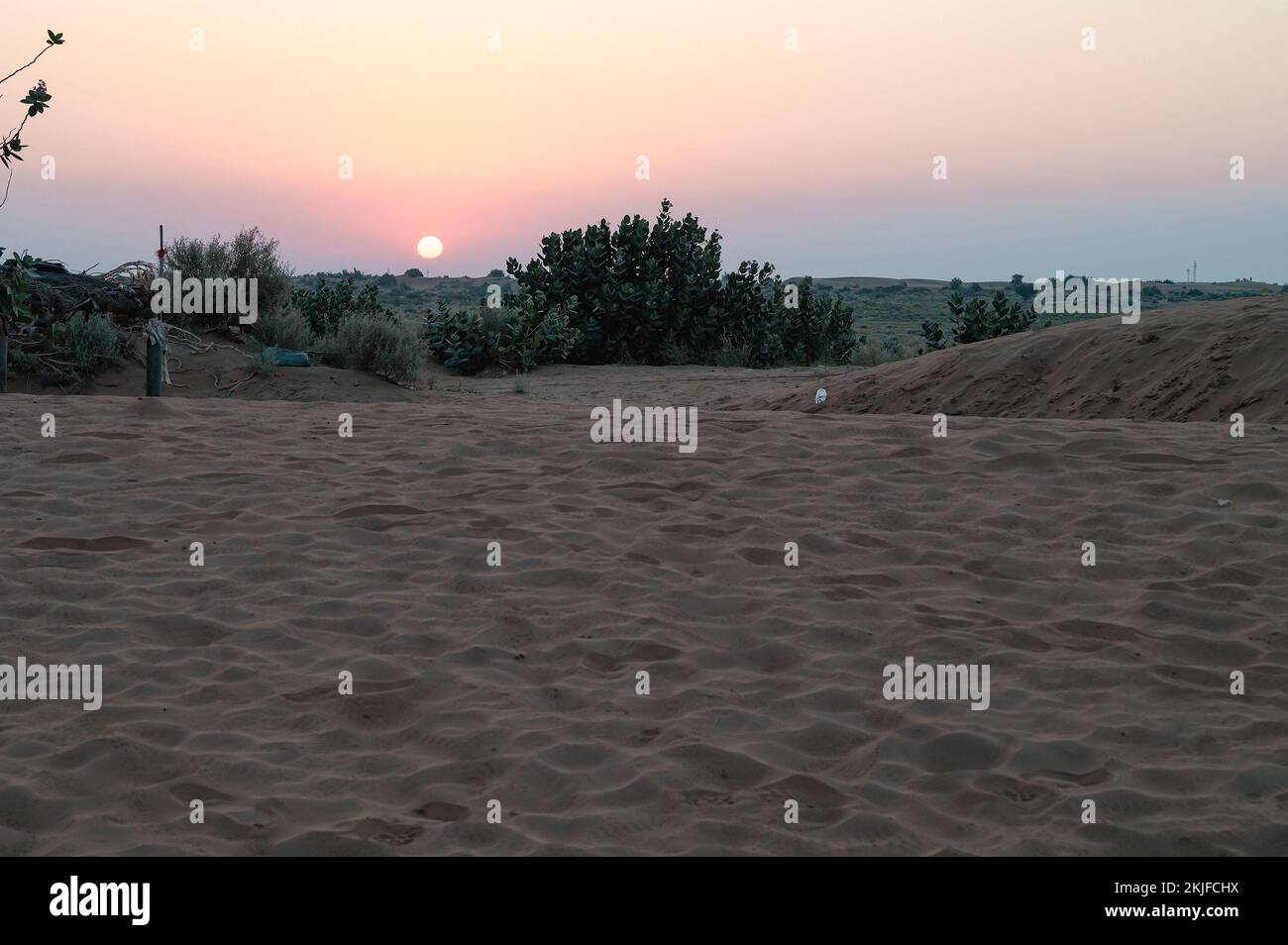 Sun rising at the horizon of Thar desert, Rajasthan, India. Tourists from across India visits to watch desert sun rise at Thar desert. Stock Photo