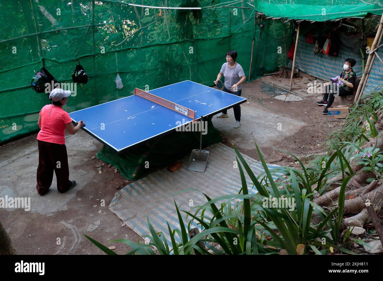 Middle-aged Chinese ladies playing Table Tennis outdoors, on a wooded hillside, Bishops Hill, Sham Shui Po, Kowloon, Hong Kong Stock Photo