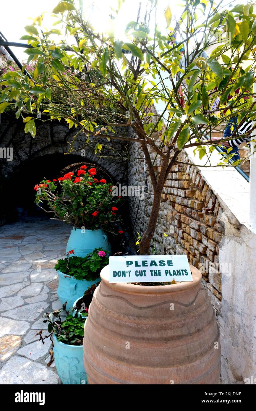 Sign on potted plant asking people not to cut the plants in Paleokastritsa Corfu Greece Stock Photo