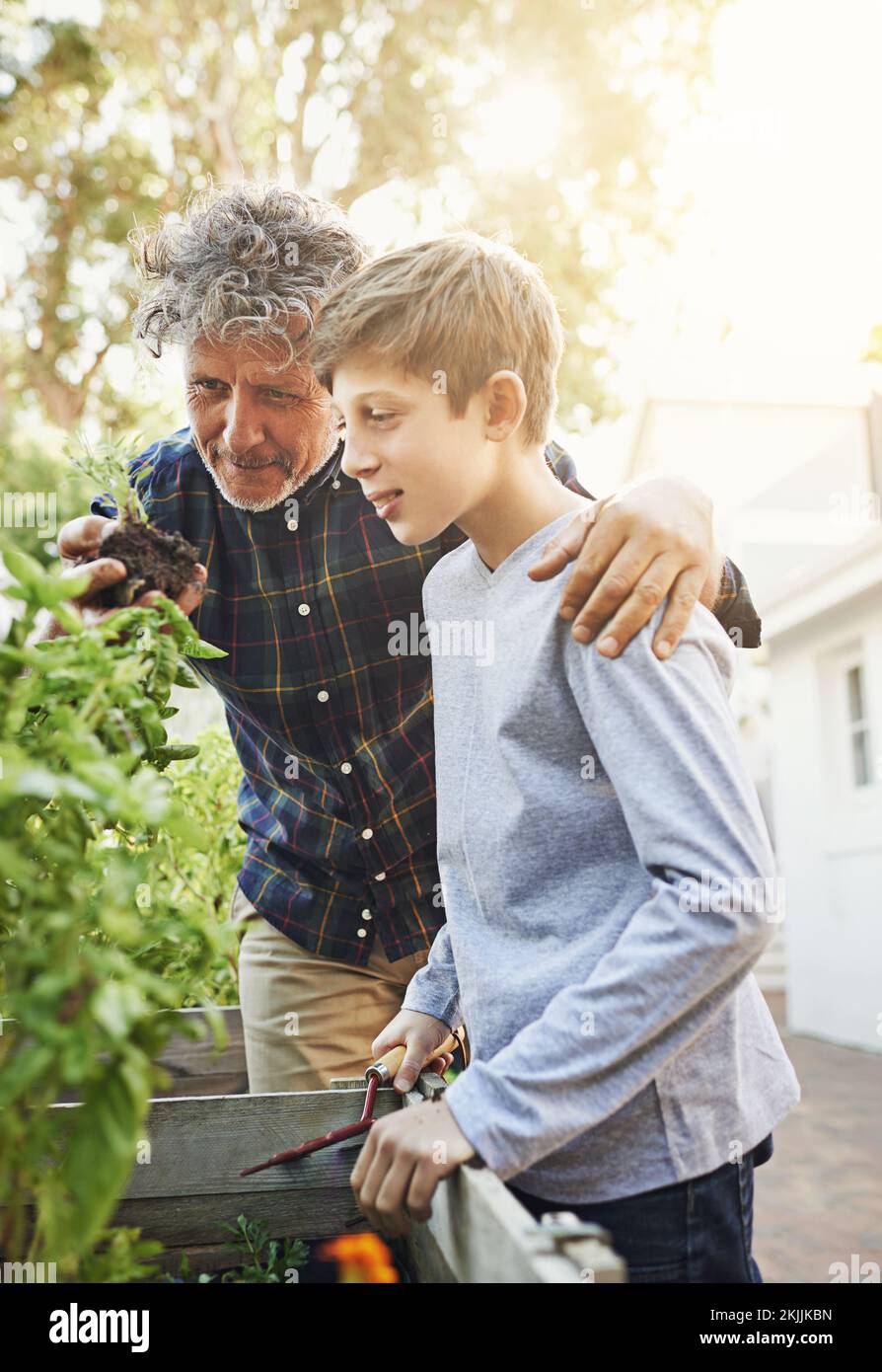 Sharing his love of gardening with his grandson. a grandfather teaching his grandson about gardening. Stock Photo